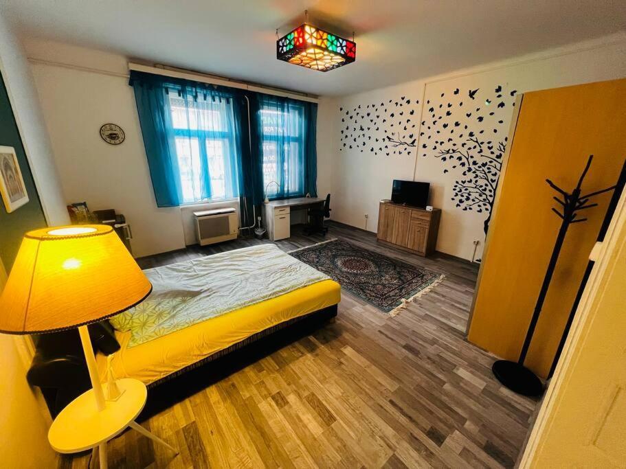 Szeged Apartment Bagian luar foto